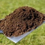 soil on shovel